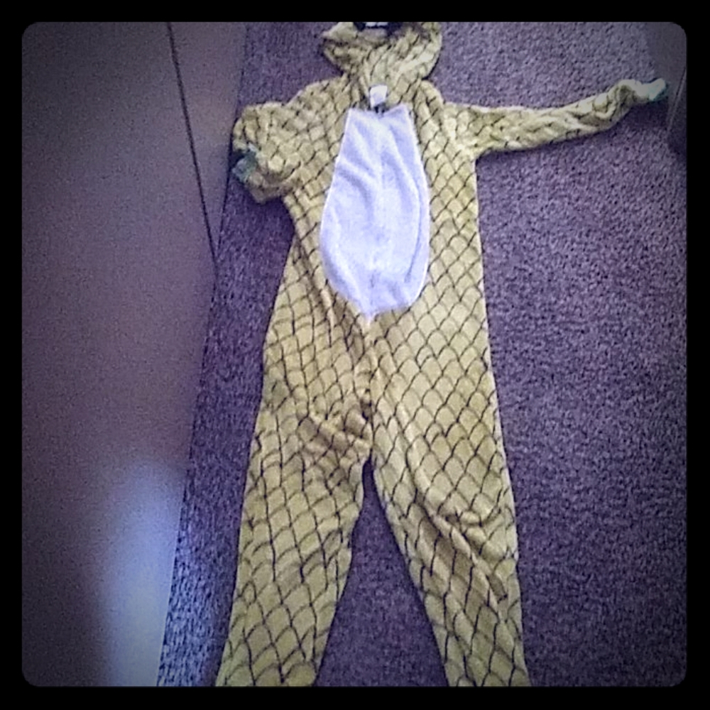 A pineapple onesie